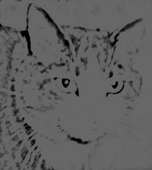 Charlie