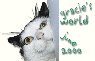 Welcome to Gracie's World, June  2000