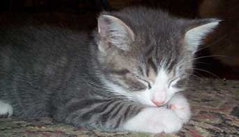 Baby Charlie Asleep Over His Hands