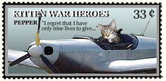 kitten war heroes: pepper. I regret that I have only nine lives to give...