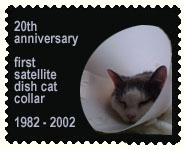 first satellite dish cat collar