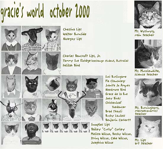 Gracie's World, October 2000