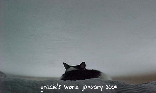 Gracie's World January 2004