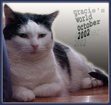 Gracie's World, October 2002