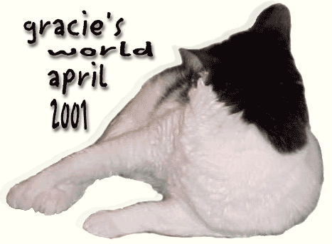 Welcome to Gracie's World, April 2001