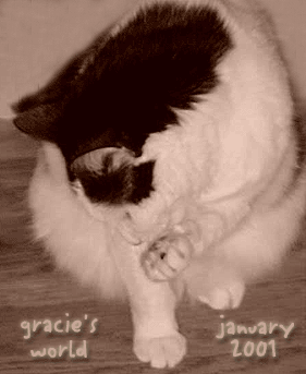 Welcome to Gracie's World, January 2001!