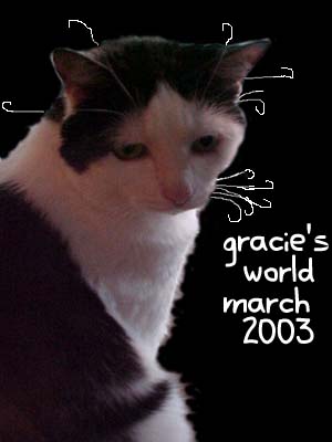 Gracie's World:  March 2003