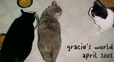 Welcome to Gracie's World