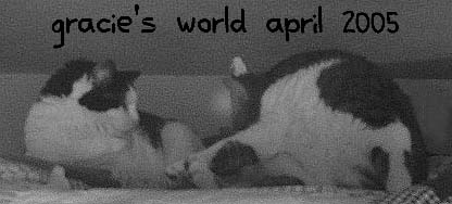 Gracie's World April 2005