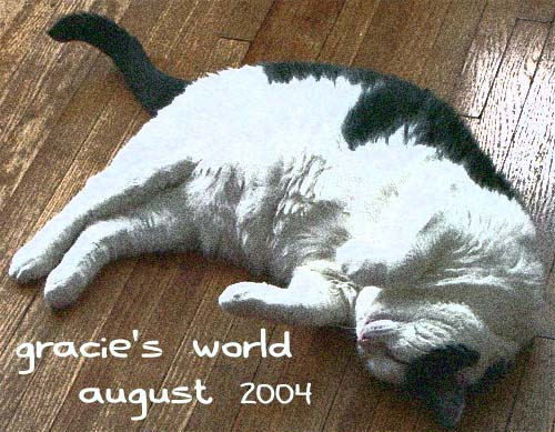Gracie's World, August 2004