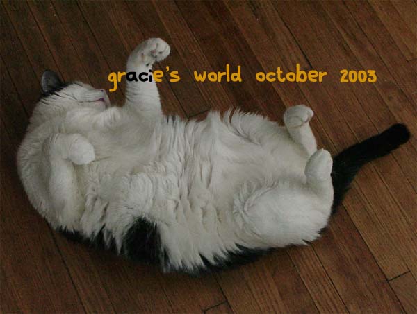 Gracie's World October 2003