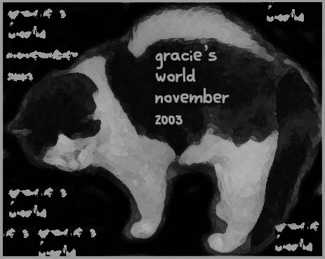 Gracie's World, November 2003