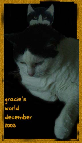 Gracie's World December 2003