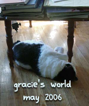 Gracie's World May 2006