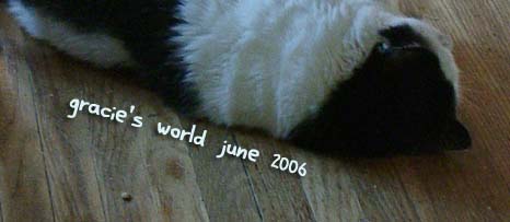 Gracie's World June 2006
